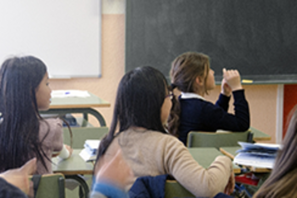 切磋琢磨する集団学習
